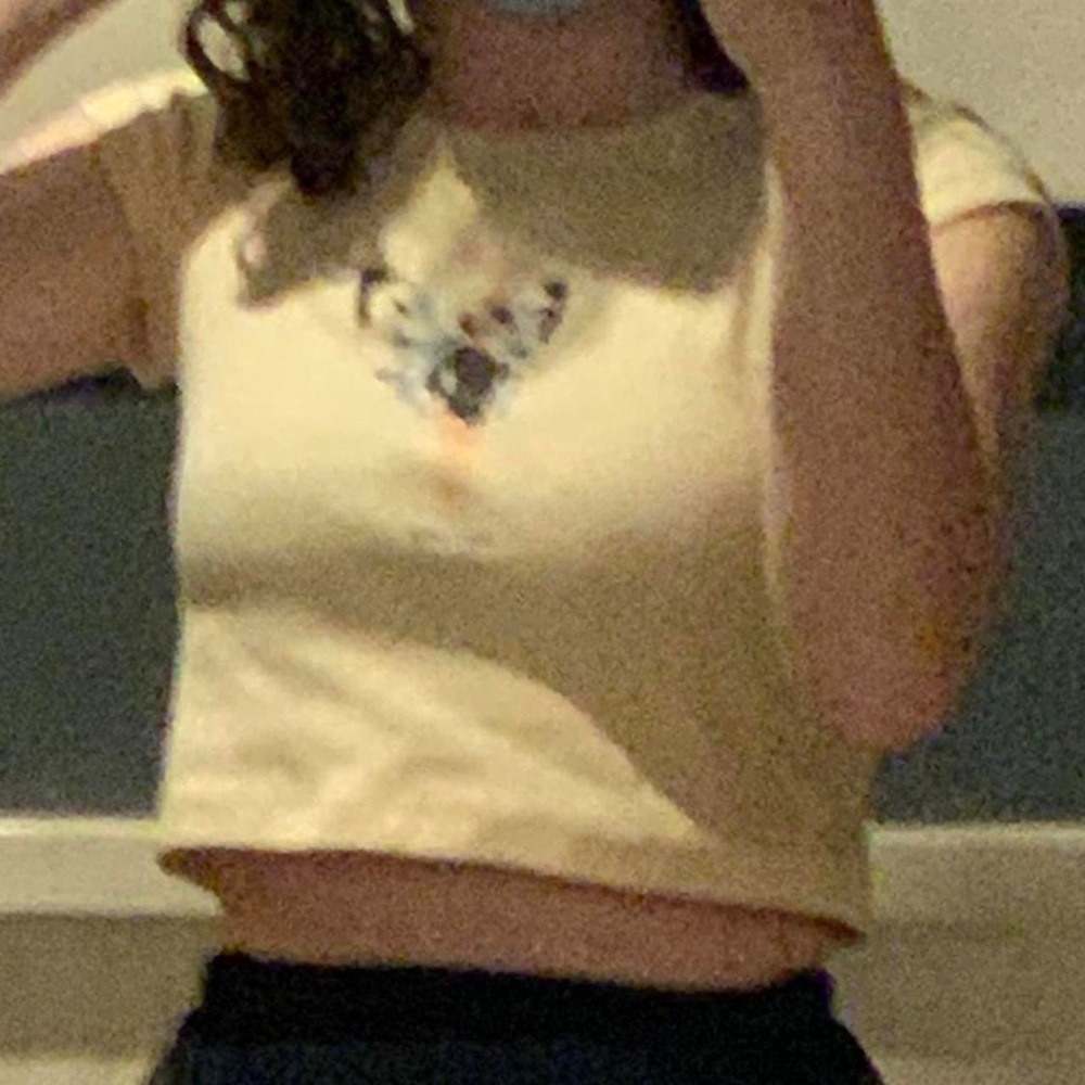 Fairy Croptop